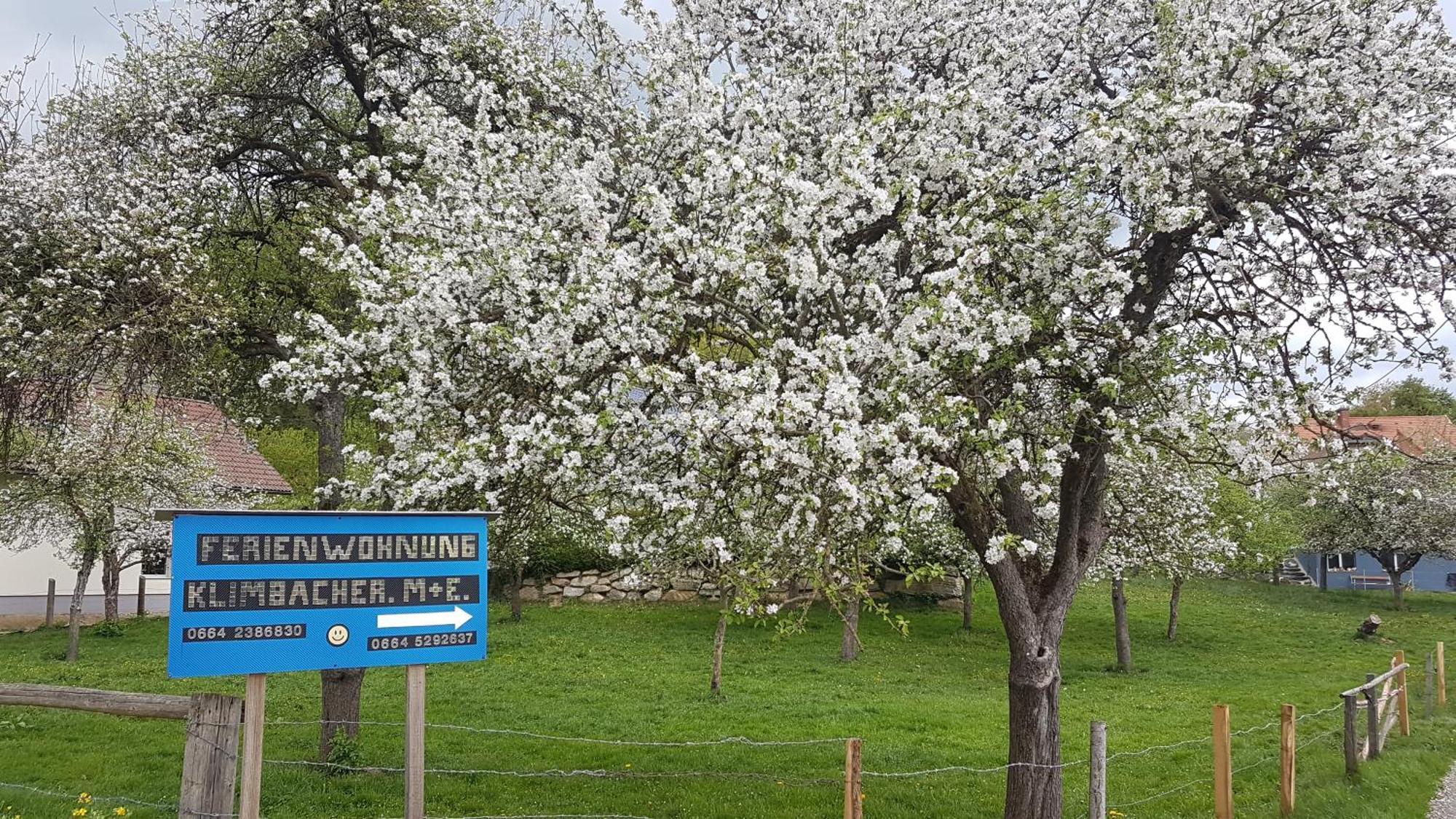 Ferienwohnungen Klimbacher Wolfsberg Habitación foto